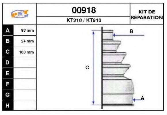 SNRA 00918