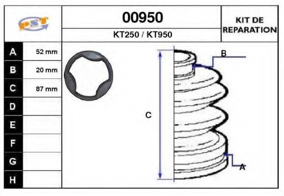 SNRA 00950