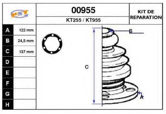 SNRA 00955