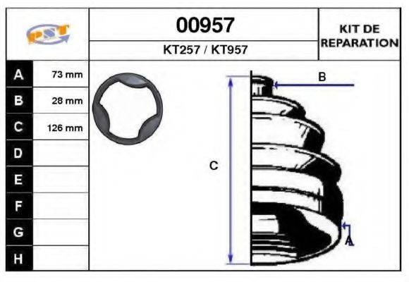 SNRA 00957