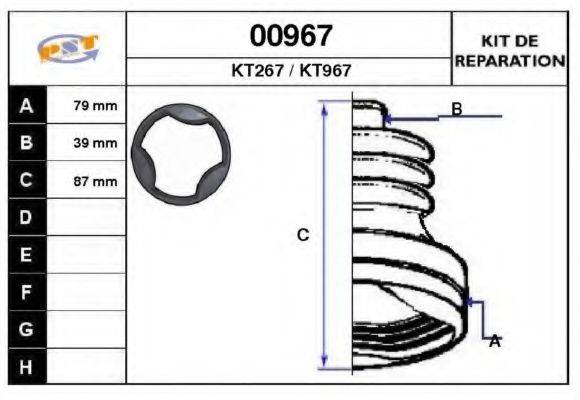 SNRA 00967