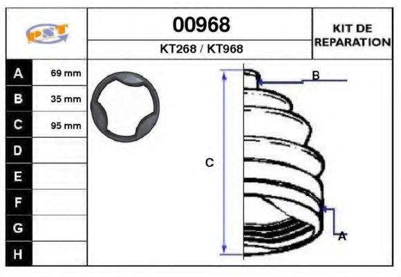SNRA 00968