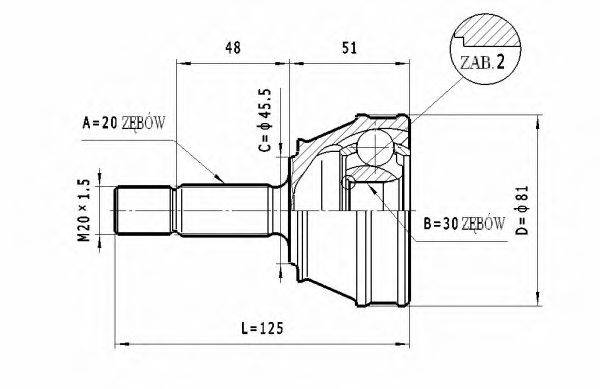 STATIM C.304