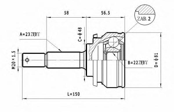 STATIM C.517