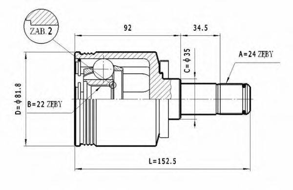 STATIM CW.034