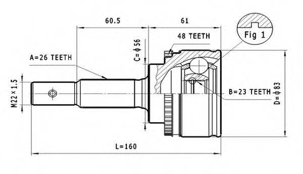 STATIM C.573