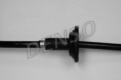 NPS DOX-0273