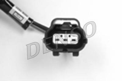NPS DOX-1031