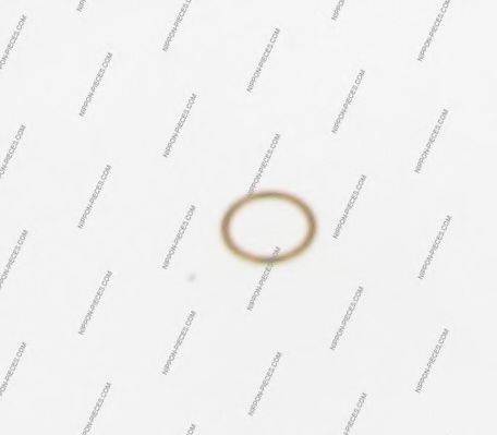 NPS M129A06
