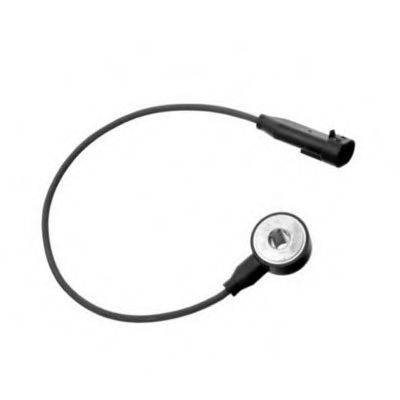 FISPA 84.003