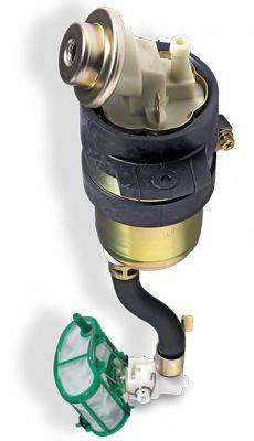 FISPA 70919