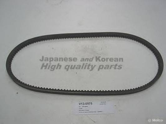 ASHUKI V13-0975