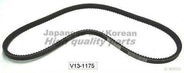 ASHUKI V13-1175