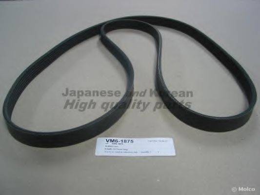 ASHUKI VM6-1875