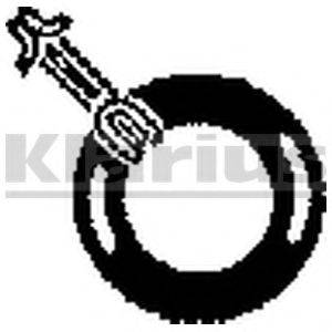 KLARIUS RNF1