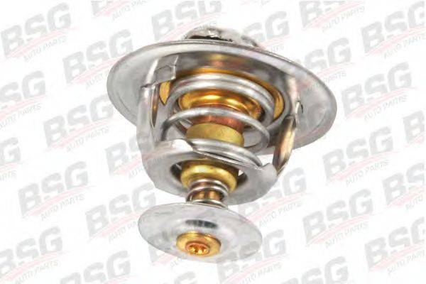 BSG BSG 30-125-008