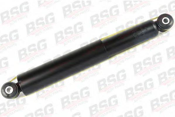 BSG BSG 30-300-001