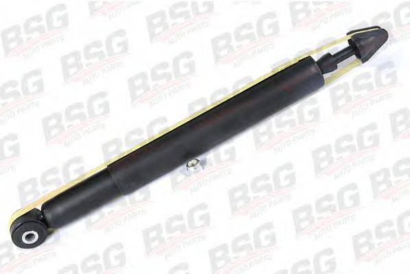 BSG BSG 30-300-004