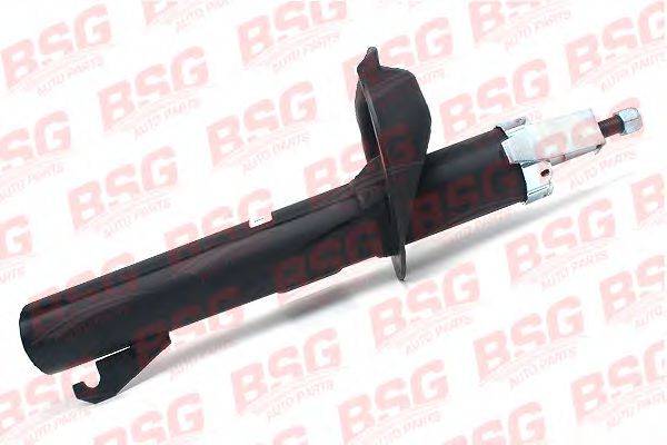 BSG BSG 30-300-013