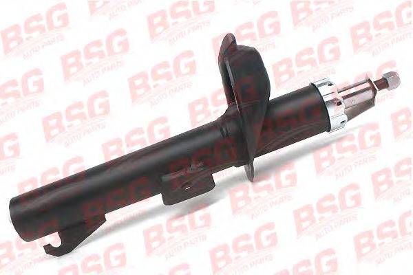 BSG BSG 30-300-014