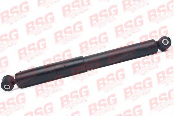 BSG BSG 30-300-015