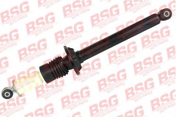 BSG BSG 30-300-019