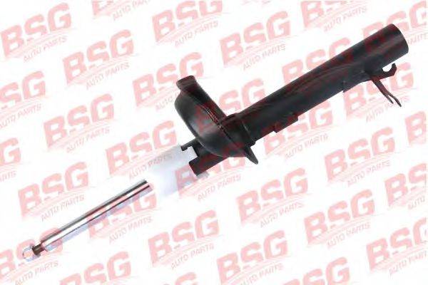 BSG BSG 30-300-021