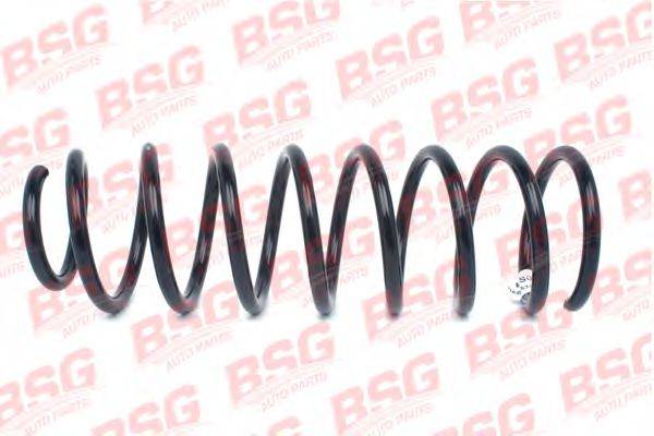 BSG BSG 30-305-015