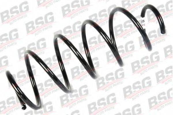 BSG BSG 30-305-021