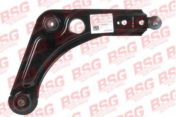 BSG BSG 30-315-001