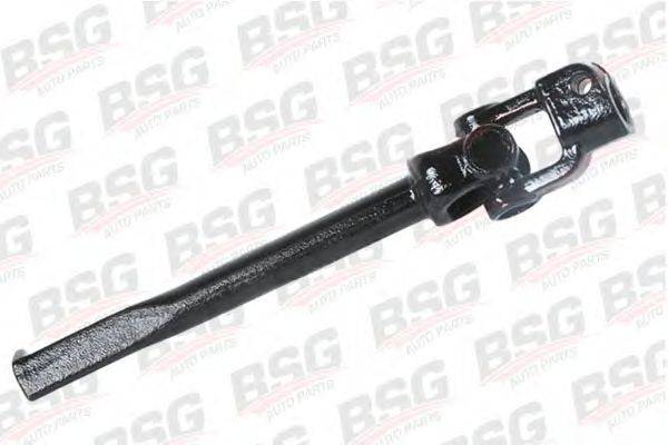 BSG BSG 30-365-001