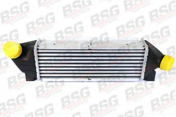BSG BSG 30-535-001