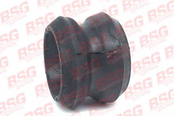 BSG BSG 30-700-025