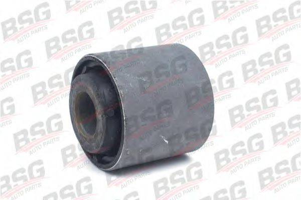 BSG BSG 30-700-212