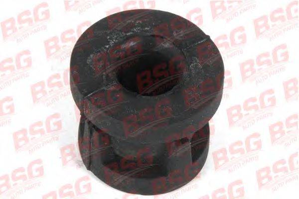 BSG BSG 30-700-313