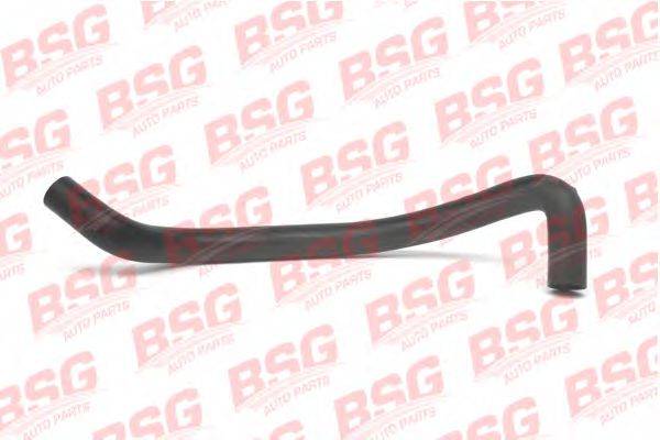BSG BSG 30-720-002