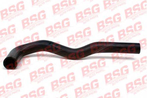 BSG BSG 30-720-003
