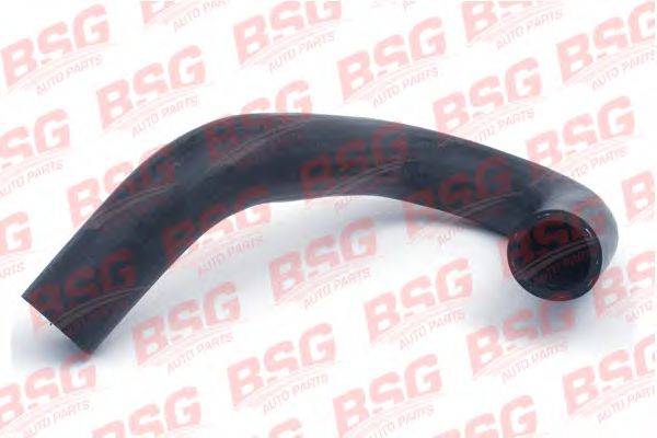 BSG BSG 30-720-024
