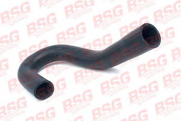 BSG BSG 30-720-025