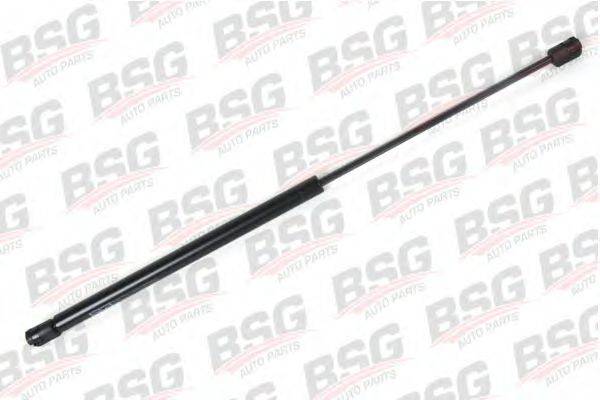 BSG BSG 30-980-007