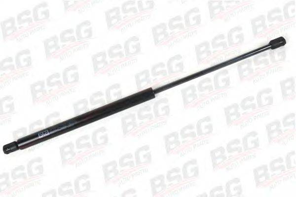 BSG BSG 30-980-019