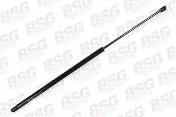BSG BSG 30-980-020