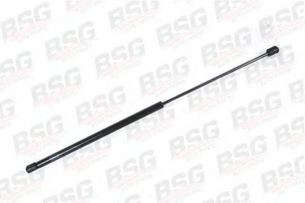 BSG BSG 30-980-021