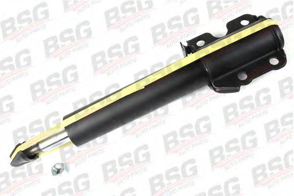 BSG BSG 60-300-003