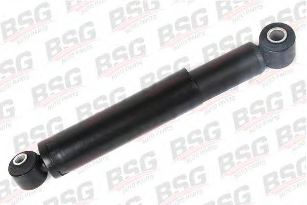BSG BSG 60-300-010