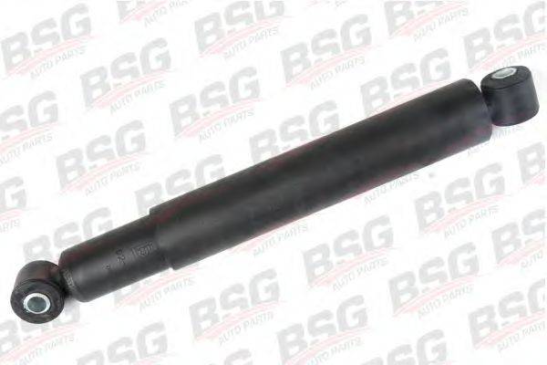 BSG BSG 60-300-012