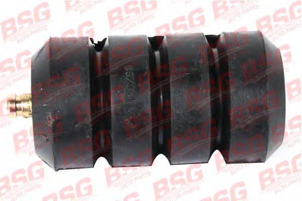 BSG BSG 60-700-066