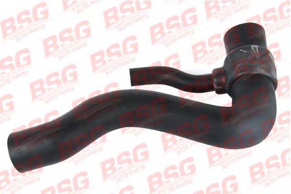 BSG 60-720-002 Шланг радіатора