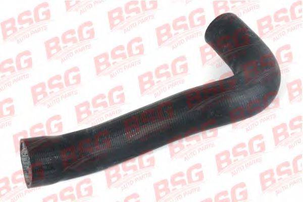 BSG BSG 60-720-006