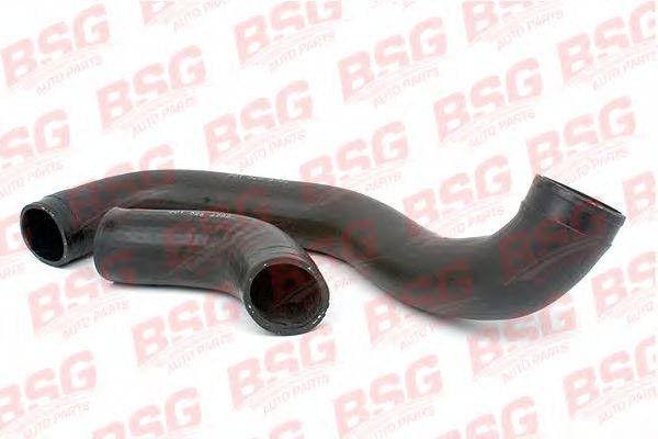 BSG BSG 60-720-008